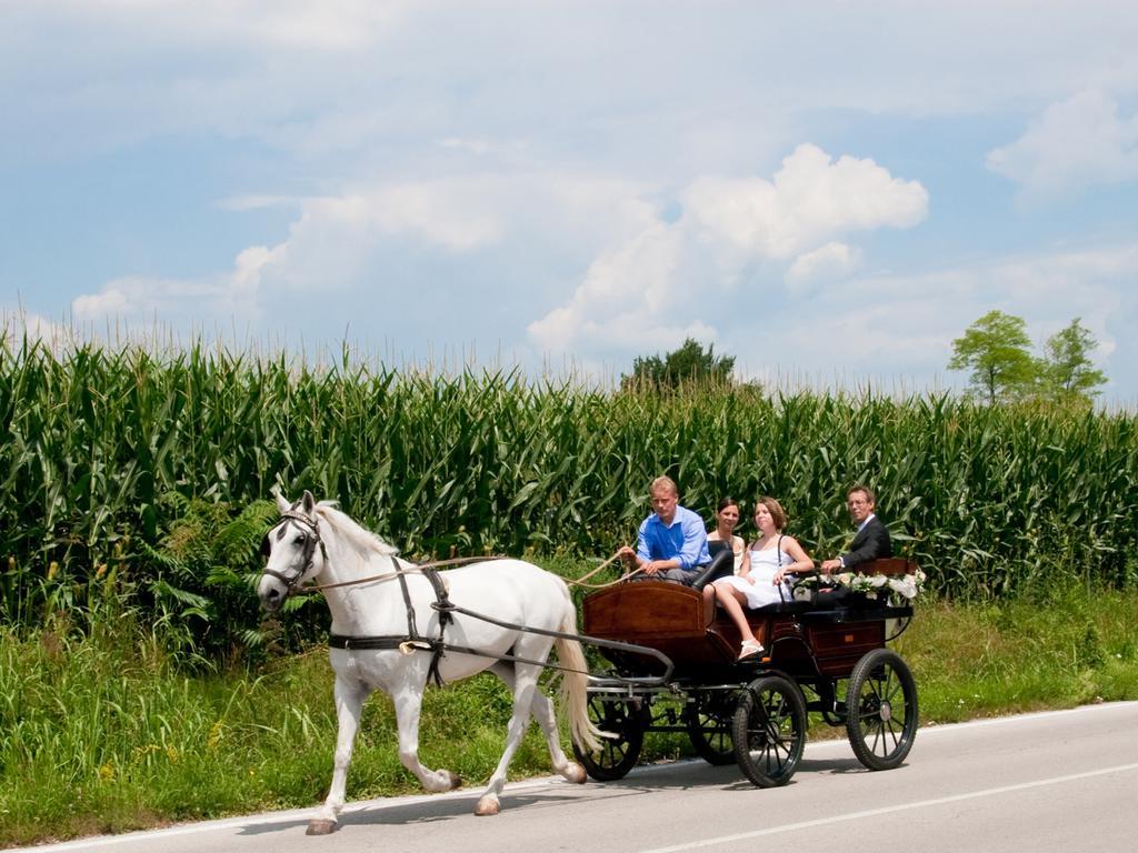 Lataria Dei Magredi Villa Vivaro Buitenkant foto